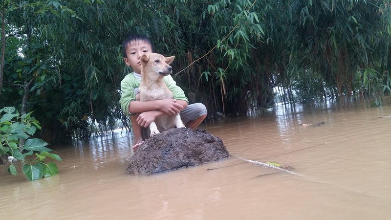 Hinh anh tang thuong cua nguoi dan mien Trung trong lu du-Hinh-3