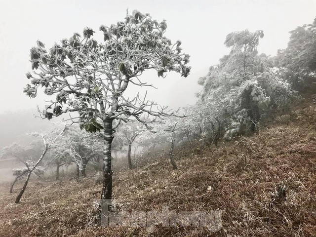 Cuoc song noi bang tuyet phu trang o Mau Son-Hinh-2