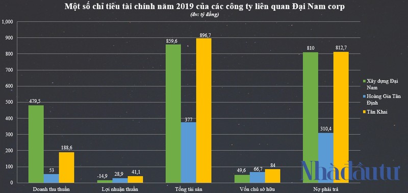 Dai gia Dung 'Lo Voi' chong ba Nguyen Phuong Hang lam an ra sao?-Hinh-2