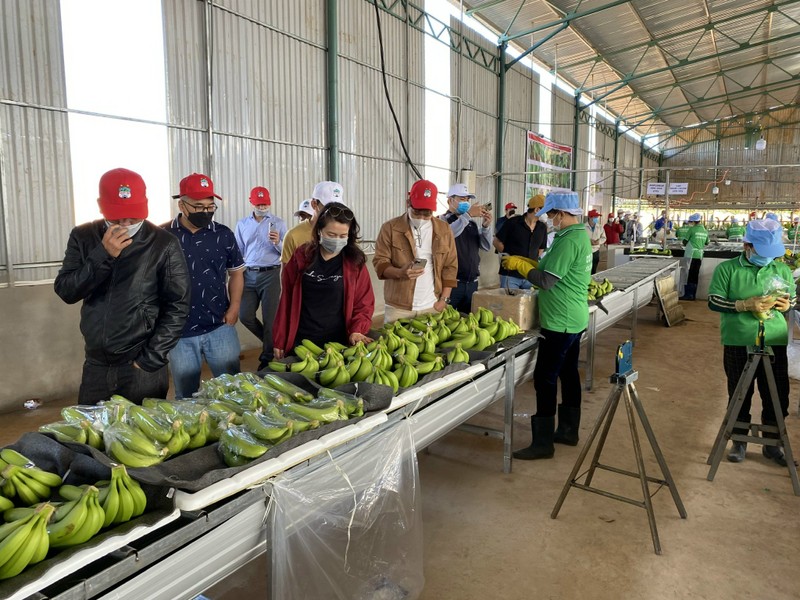 Bau Duc huong dan cac co dong, nha dau tu tham quan du an-Hinh-4