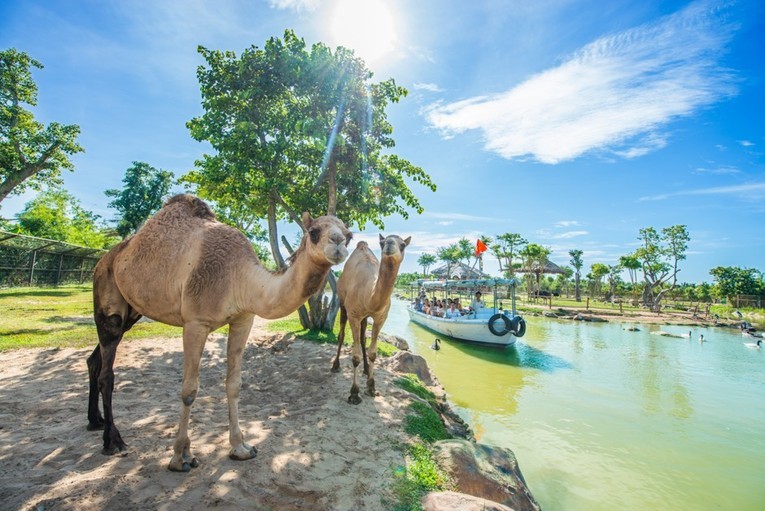 Nghi duong dieu ky, phieu he “lang man” tai mien bien di san-Hinh-10