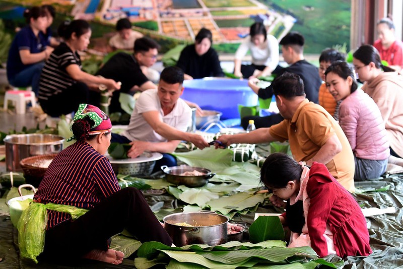 Shark Lien gian di cung con chau goi banh chung don Tet-Hinh-8