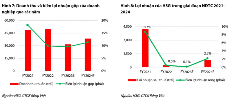 VDSC du bao loi nhuan Hoa Sen cua ong Le Phuoc Vu giam 69%