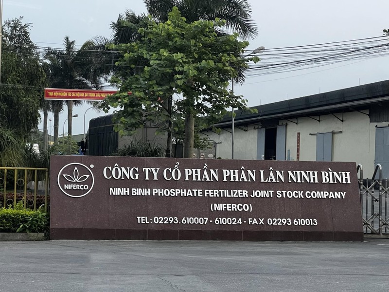 Phan Lan Ninh Binh lam gi de bi phat thue lien tiep 2 lan?