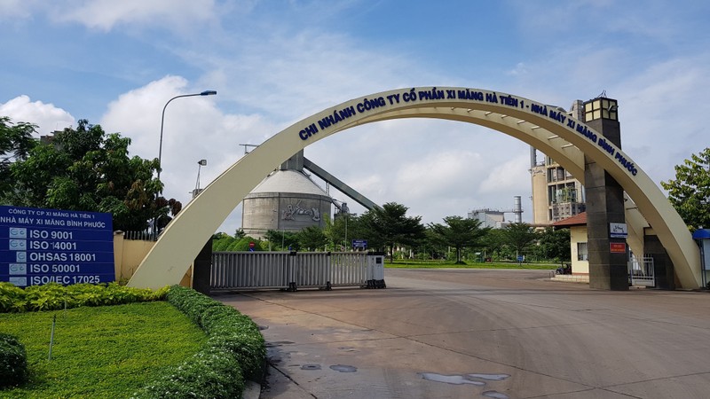 Loi nhuan nam 2024 Vicem Ha Tien giam 7% sau kiem toan