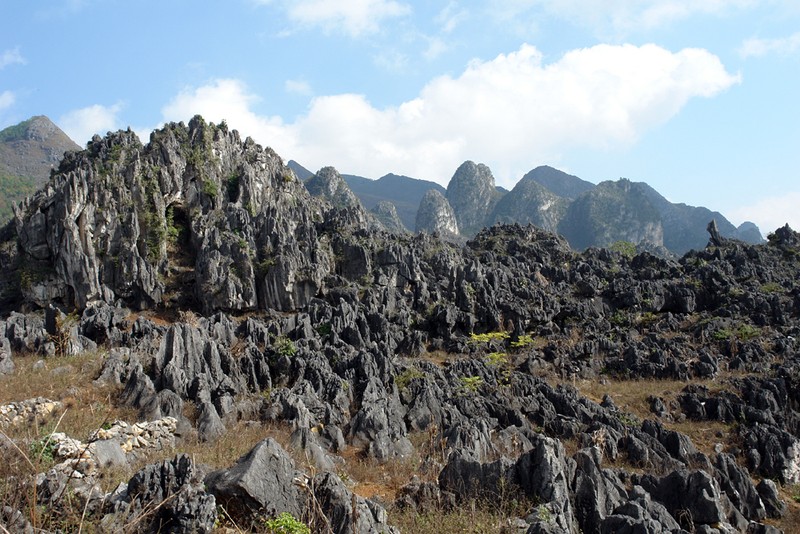 LP Land lam an nhu nao khi vua dat so bo KDT Cao Nguyen Da 9,7ha?