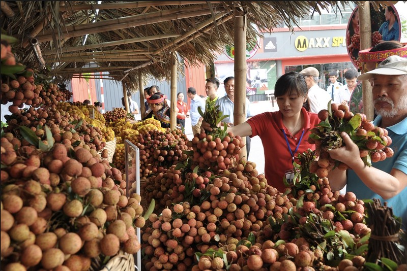 Vai thieu Luc Ngan van chuyen bang duong may bay co gia den 150.000 dong/kg