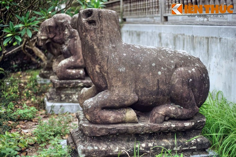 Nhung hinh tuong con trau tren bao vat quoc gia Viet Nam-Hinh-5