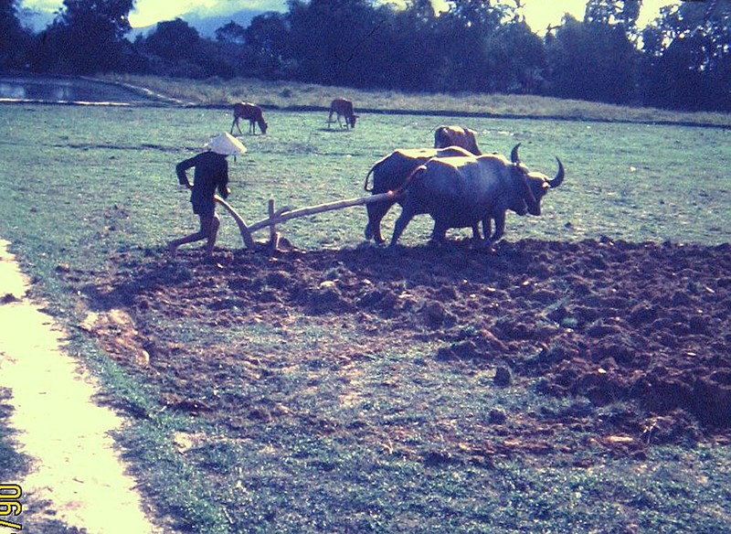 Dac biet cuoc song mien Trung nam 1967 qua ong kinh linh My-Hinh-12