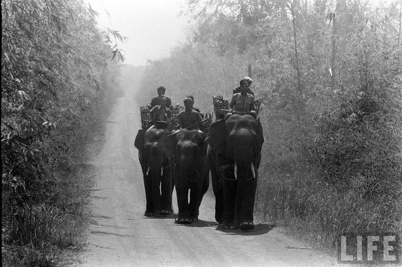 An tuong dan voi hoanh trang o Buon Me Thuot nam 1957-Hinh-2