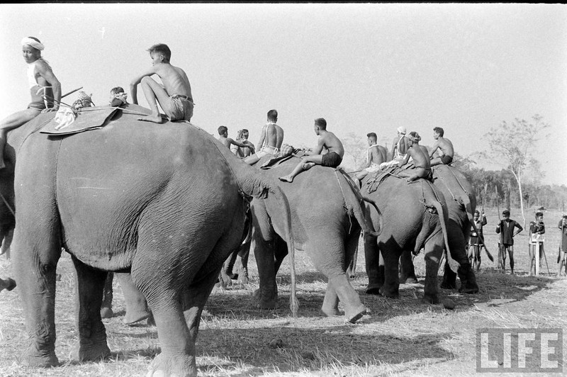 An tuong dan voi hoanh trang o Buon Me Thuot nam 1957-Hinh-3