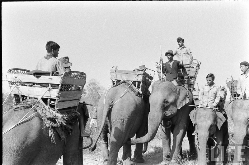 An tuong dan voi hoanh trang o Buon Me Thuot nam 1957-Hinh-4