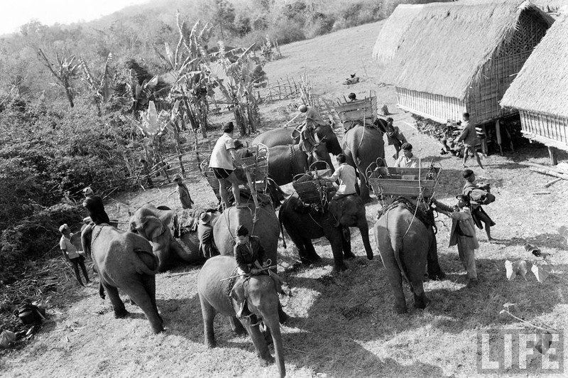 An tuong dan voi hoanh trang o Buon Me Thuot nam 1957-Hinh-8