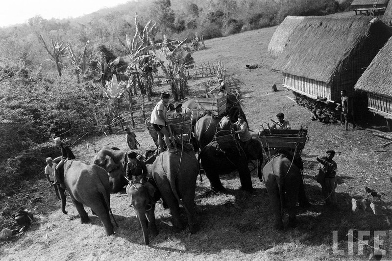 An tuong dan voi hoanh trang o Buon Me Thuot nam 1957-Hinh-9