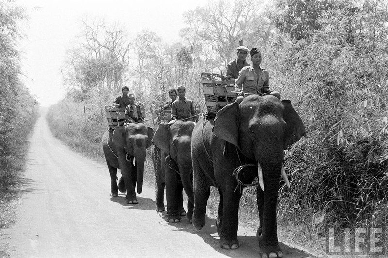 An tuong dan voi hoanh trang o Buon Me Thuot nam 1957