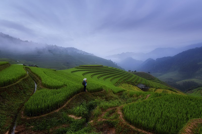 Viet Nam day loi cuon qua ong kinh nhiep anh gia Thai Lan-Hinh-11