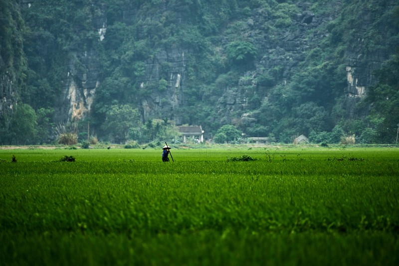 Nhung hinh anh dep nhu mo o Ninh Binh qua ong kinh quoc te-Hinh-10