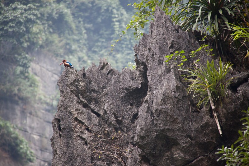 Nhung net dac sac cua Ninh Binh qua ong kinh pho nhay My-Hinh-4