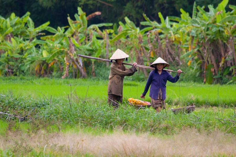 Nguoi Viet doi non la duoi con mat du khach ngoai-Hinh-5