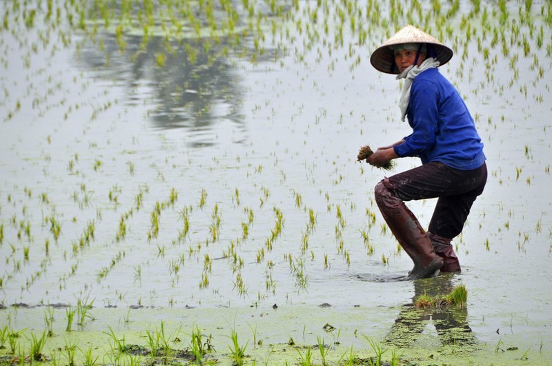 Nguoi Viet doi non la duoi con mat du khach ngoai