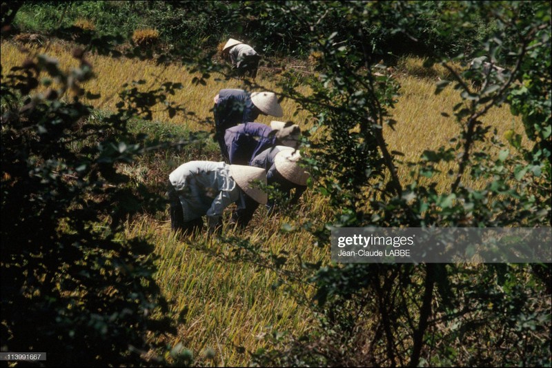 Loat anh kho quen ve ba mien Viet Nam nam 1994-Hinh-13