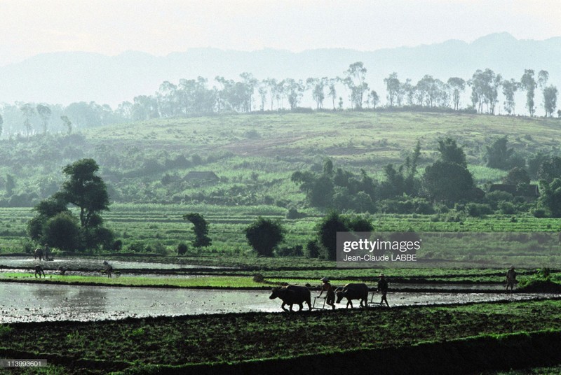 Loat anh kho quen ve ba mien Viet Nam nam 1994-Hinh-5