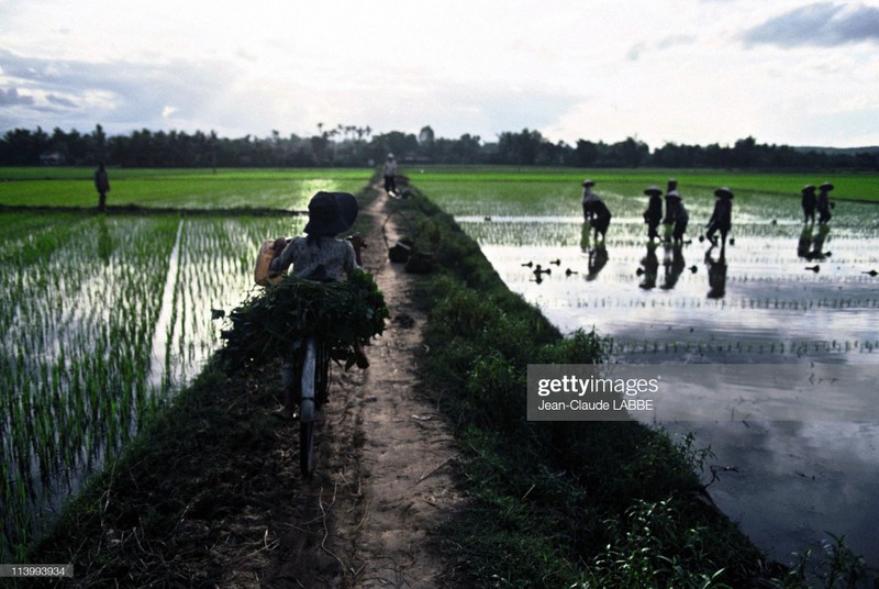 Cuoc song than thuong o nong thon Viet Nam dau thap nien 1990-Hinh-11