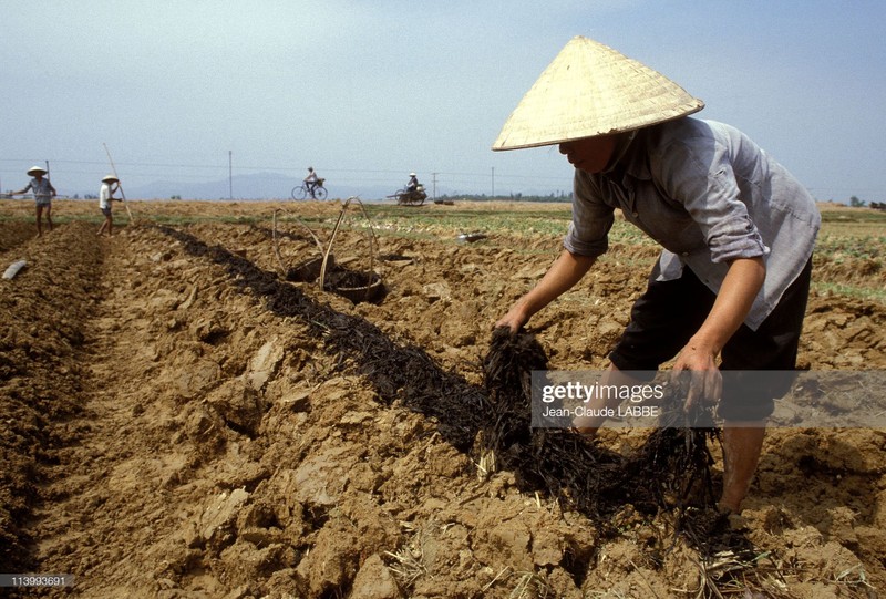 Cuoc song than thuong o nong thon Viet Nam dau thap nien 1990-Hinh-13