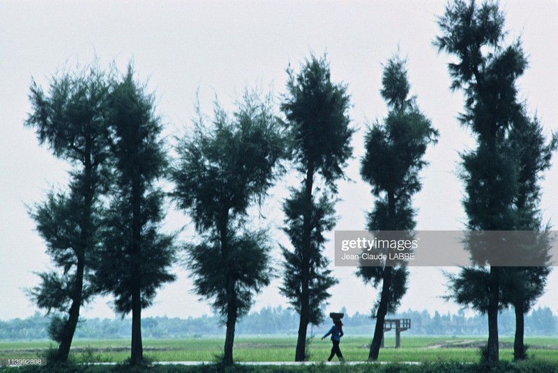 Cuoc song than thuong o nong thon Viet Nam dau thap nien 1990-Hinh-15