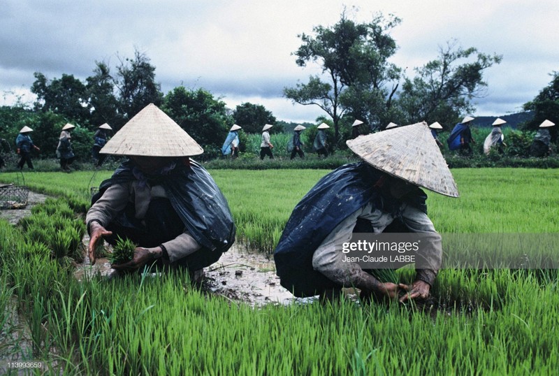 Cuoc song than thuong o nong thon Viet Nam dau thap nien 1990-Hinh-9