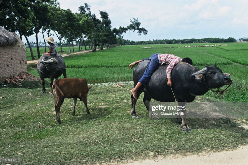 Cuoc song than thuong o nong thon Viet Nam dau thap nien 1990