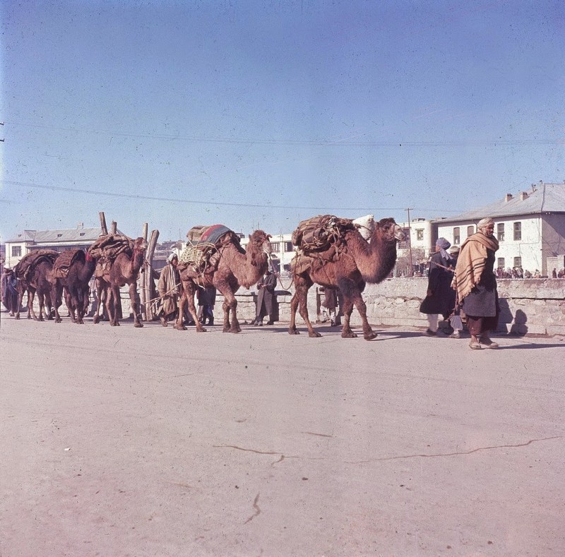 Khoanh khac tuoi dep cua thu do Afghanistan thap nien 1960-Hinh-8