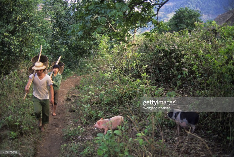 Hoa Binh hoang so day binh di cua nam 1992-Hinh-6