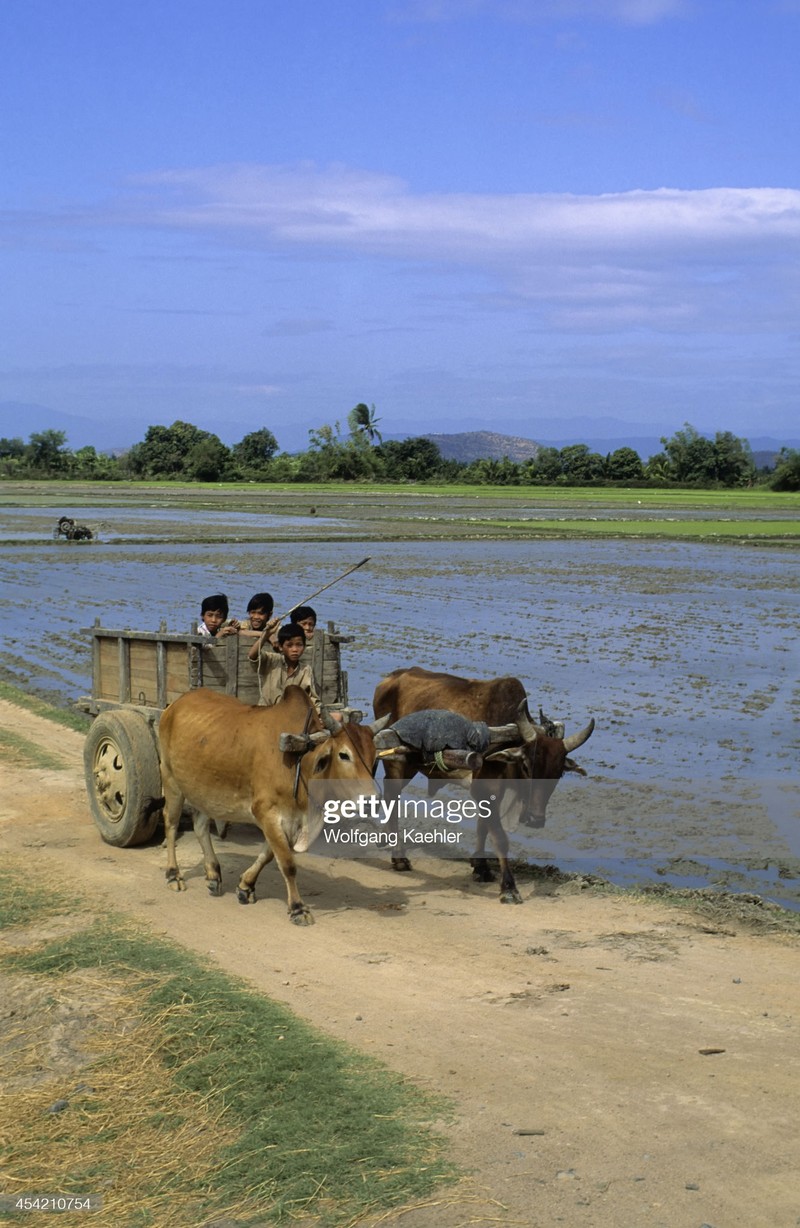 Viet Nam nam 1992 dan da qua ong kinh phong vien Duc-Hinh-5