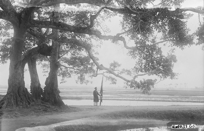 Khoan khac sinh dong ve cuoc song o Thai Binh nam 1928-Hinh-6