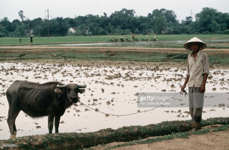 Thanh pho Vinh nam 1989 va loat anh hiem co-Hinh-6