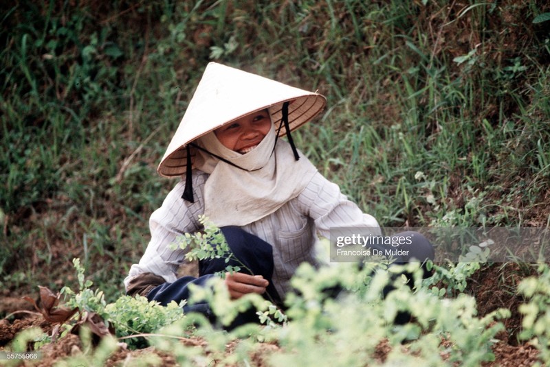 Thanh pho Vinh nam 1989 va loat anh hiem co-Hinh-8