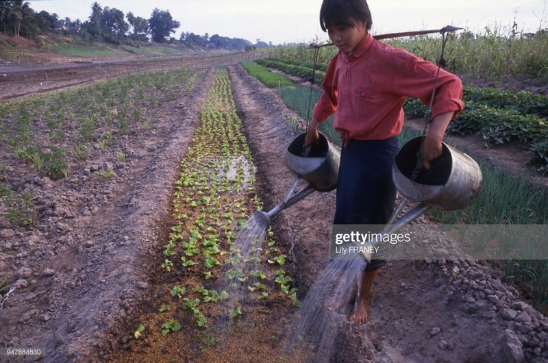 Loat anh phai xem ve nong thon Viet Nam nam 1987-Hinh-6