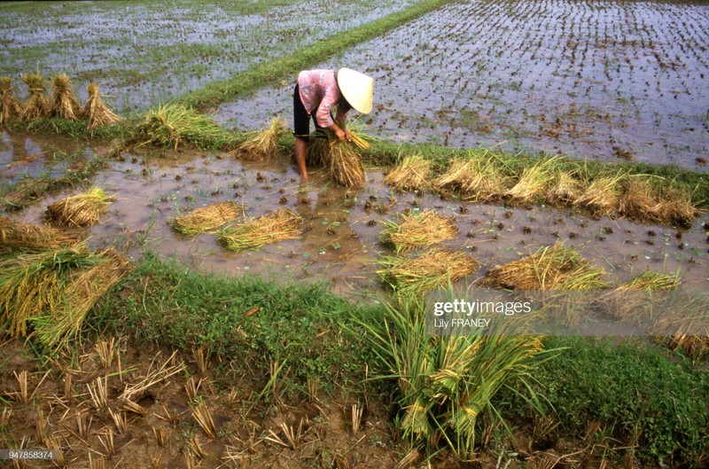 Loat anh phai xem ve nong thon Viet Nam nam 1987-Hinh-8