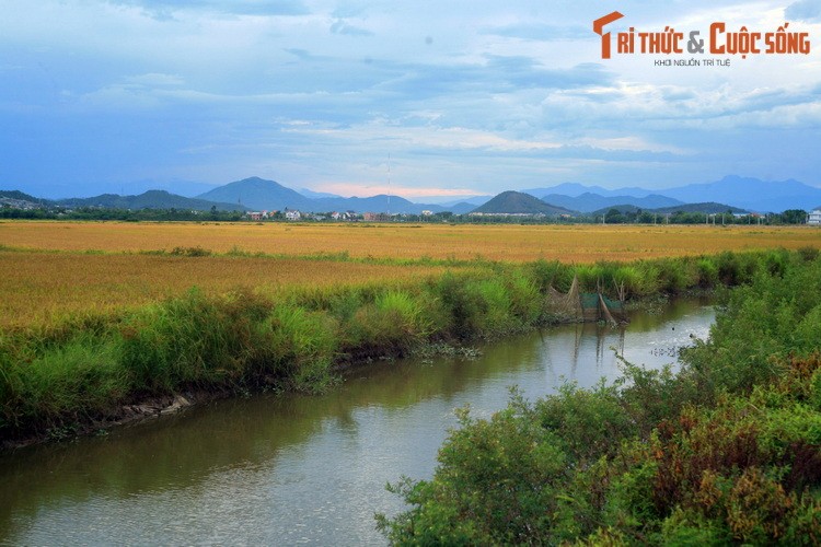 Phong canh tuyet dep cua Co do Hue khien du khach ngo ngang-Hinh-9