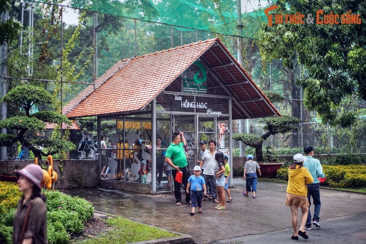 Ngat ngay ngam vuon chim o trung tam Sai Gon