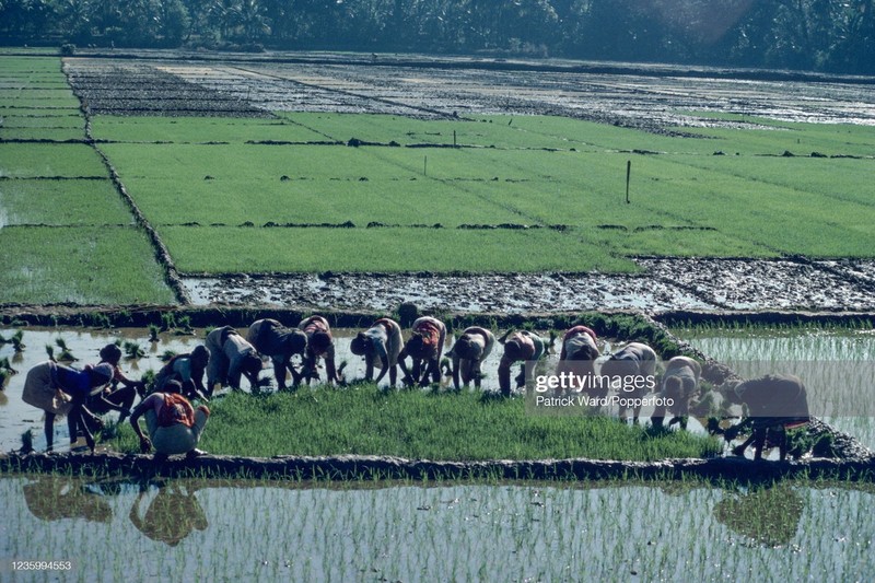 Loat anh cuc thu vi ve cuoc song o An Do nam 1970 (2)-Hinh-9