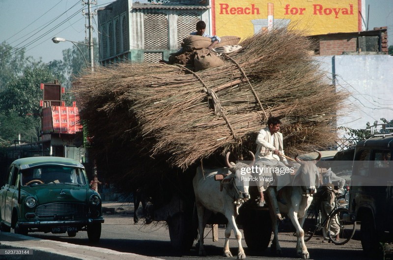 Loat anh cuc thu vi ve cuoc song o An Do nam 1970 (2)