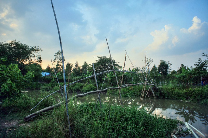 Du ngoan canh song nuoc cuc doc dao o Can Tho-Hinh-10