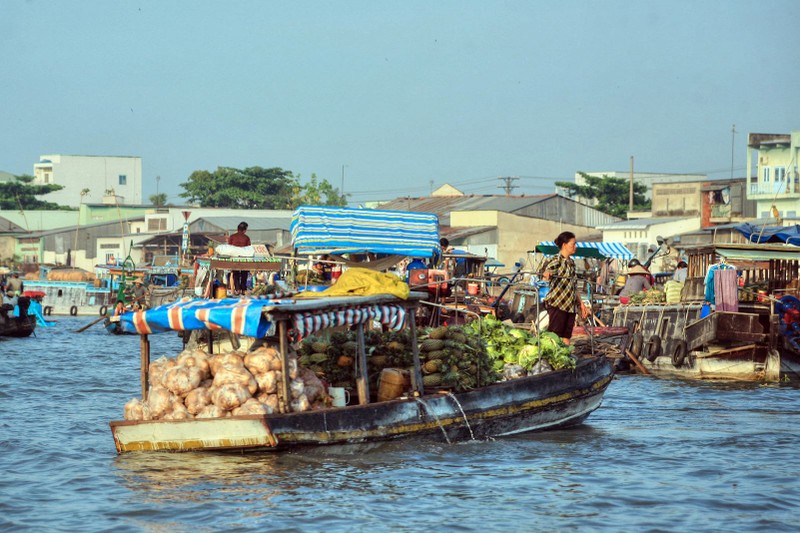 Du ngoan canh song nuoc cuc doc dao o Can Tho-Hinh-2