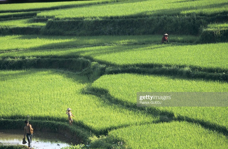 Cuoc song sinh dong o Viet Nam cuoi thap nien 1990-Hinh-5