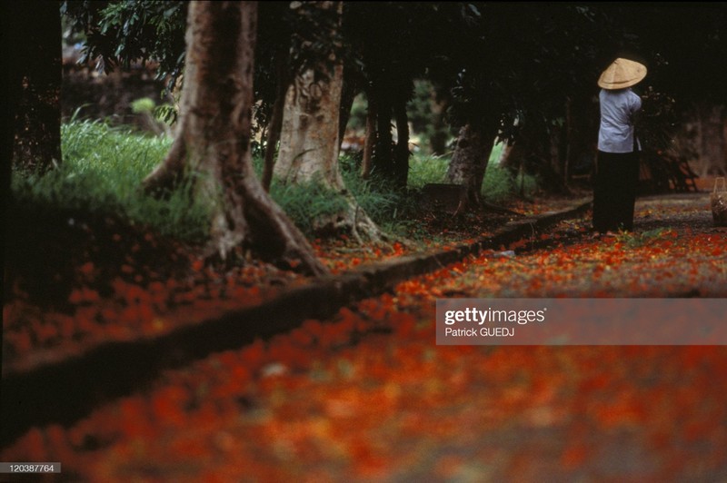 Cuoc song sinh dong o Viet Nam cuoi thap nien 1990-Hinh-6