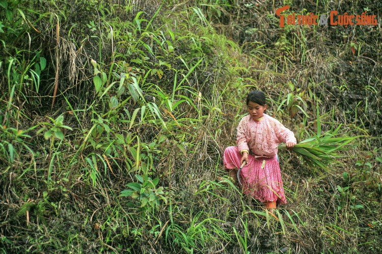 Ve dep binh di cua Pho Cao Ha Giang hut du khach-Hinh-12