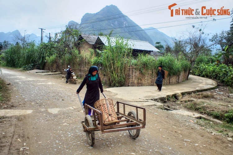 Ve dep binh di cua Pho Cao Ha Giang hut du khach-Hinh-5