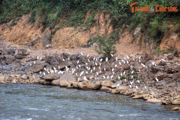 Den Ha Giang khong the bo qua nhung dia cu tuyet dep nay-Hinh-10